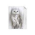 Picture of Living Owl _GroupedProduct_Rectangle_Portrait_Unframed_Print_Only_