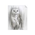 Picture of Living Owl _GroupedProduct_Rectangle_Portrait_Unframed_Print_Only_