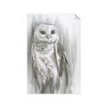 Picture of Living Owl _GroupedProduct_Rectangle_Portrait_Unframed_Print_Only_