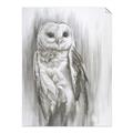 Picture of Living Owl _GroupedProduct_Rectangle_Portrait_Unframed_Print_Only_