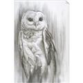Picture of Living Owl _GroupedProduct_Rectangle_Portrait_Unframed_Print_Only_