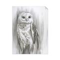 Picture of Living Owl _GroupedProduct_Rectangle_Portrait_Unframed_Print_Only_
