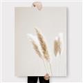Picture of White Cluster petaled flower _GroupedProduct_Rectangle_Portrait_Photography _GroupedProduct_Rectangle_Portrait_Canvas_