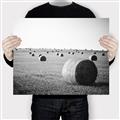 Picture of Hay Bails _GroupedProduct_Rectangle_Landscape_Photography _GroupedProduct_Rectangle_Landscape_Canvas_