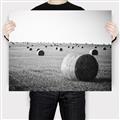 Picture of Hay Bails _GroupedProduct_Rectangle_Landscape_Photography _GroupedProduct_Rectangle_Landscape_Canvas_