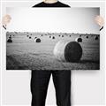 Picture of Hay Bails _GroupedProduct_Rectangle_Landscape_Photography _GroupedProduct_Rectangle_Landscape_Canvas_