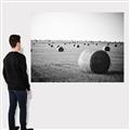 Picture of Hay Bails _GroupedProduct_Rectangle_Landscape_Photography _GroupedProduct_Rectangle_Landscape_Canvas_
