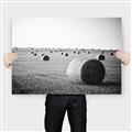 Picture of Hay Bails _GroupedProduct_Rectangle_Landscape_Photography _GroupedProduct_Rectangle_Landscape_Canvas_