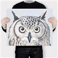 Picture of Close-up The Owl Head _GroupedProduct_Rectangle_Landscape_Canvas_