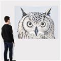 Picture of Close-up The Owl Head _GroupedProduct_Rectangle_Landscape_Canvas_
