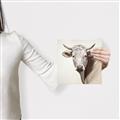 Picture of Neutral Cow _GroupedProduct_Square_Canvas_