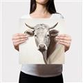 Picture of Neutral Cow _GroupedProduct_Square_Canvas_