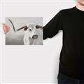 Picture of Cow with Big Horn _GroupedProduct_Rectangle_Landscape_Canvas_