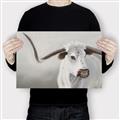 Picture of Cow with Big Horn _GroupedProduct_Rectangle_Landscape_Canvas_