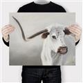Picture of Cow with Big Horn _GroupedProduct_Rectangle_Landscape_Canvas_
