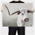Picture of Cow with Big Horn _GroupedProduct_Rectangle_Landscape_Canvas_