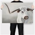 Picture of Cow with Big Horn _GroupedProduct_Rectangle_Landscape_Canvas_