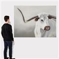 Picture of Cow with Big Horn _GroupedProduct_Rectangle_Landscape_Canvas_