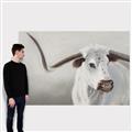 Picture of Cow with Big Horn _GroupedProduct_Rectangle_Landscape_Canvas_