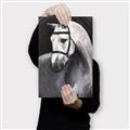 Picture of Soft Horse _GroupedProduct_Rectangle_Portrait_Canvas_