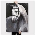 Picture of Soft Horse _GroupedProduct_Rectangle_Portrait_Canvas_