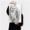 Picture of Living Owl _GroupedProduct_Rectangle_Portrait_Canvas_