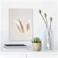 Picture of White Cluster petaled flower _GroupedProduct_Rectangle_Portrait_Photography _GroupedProduct_Rectangle_Portrait_Canvas_