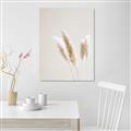 Picture of White Cluster petaled flower _GroupedProduct_Rectangle_Portrait_Photography _GroupedProduct_Rectangle_Portrait_Canvas_