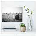 Picture of Hay Bails _GroupedProduct_Rectangle_Landscape_Photography _GroupedProduct_Rectangle_Landscape_Canvas_