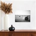 Picture of Hay Bails _GroupedProduct_Rectangle_Landscape_Photography _GroupedProduct_Rectangle_Landscape_Canvas_