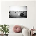 Picture of Hay Bails _GroupedProduct_Rectangle_Landscape_Photography _GroupedProduct_Rectangle_Landscape_Canvas_