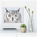 Picture of Close-up The Owl Head _GroupedProduct_Rectangle_Landscape_Canvas_