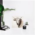 Picture of Neutral Cow _GroupedProduct_Square_Canvas_