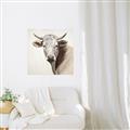 Picture of Neutral Cow _GroupedProduct_Square_Canvas_