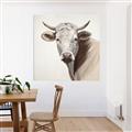 Picture of Neutral Cow _GroupedProduct_Square_Canvas_