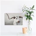 Picture of Cow with Big Horn _GroupedProduct_Rectangle_Landscape_Canvas_