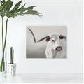Picture of Cow with Big Horn _GroupedProduct_Rectangle_Landscape_Canvas_