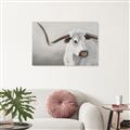 Picture of Cow with Big Horn _GroupedProduct_Rectangle_Landscape_Canvas_