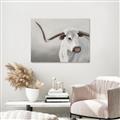 Picture of Cow with Big Horn _GroupedProduct_Rectangle_Landscape_Canvas_