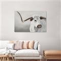 Picture of Cow with Big Horn _GroupedProduct_Rectangle_Landscape_Canvas_