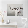 Picture of Cow with Big Horn _GroupedProduct_Rectangle_Landscape_Canvas_