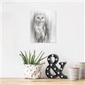 Picture of Living Owl _GroupedProduct_Rectangle_Portrait_Canvas_