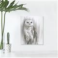 Picture of Living Owl _GroupedProduct_Rectangle_Portrait_Canvas_