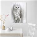 Picture of Living Owl _GroupedProduct_Rectangle_Portrait_Canvas_
