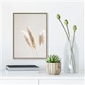 Picture of White Cluster petaled flower _GroupedProduct_Rectangle_Portrait_Photography _GroupedProduct_Rectangle_Portrait_Canvas_Framed_