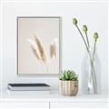 Picture of White Cluster petaled flower _GroupedProduct_Rectangle_Portrait_Photography _GroupedProduct_Rectangle_Portrait_Canvas_Framed_