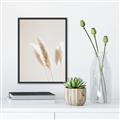 Picture of White Cluster petaled flower _GroupedProduct_Rectangle_Portrait_Photography _GroupedProduct_Rectangle_Portrait_Canvas_Framed_