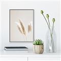 Picture of White Cluster petaled flower _GroupedProduct_Rectangle_Portrait_Photography _GroupedProduct_Rectangle_Portrait_Canvas_Framed_