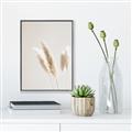 Picture of White Cluster petaled flower _GroupedProduct_Rectangle_Portrait_Photography _GroupedProduct_Rectangle_Portrait_Canvas_Framed_