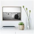 Picture of Hay Bails _GroupedProduct_Rectangle_Landscape_Photography _GroupedProduct_Rectangle_Landscape_Canvas_Framed_